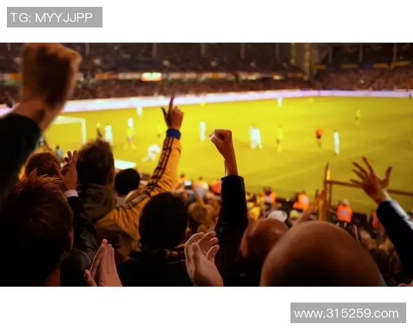 看足球入场的独特体验与现场氛围的完美融合之旅